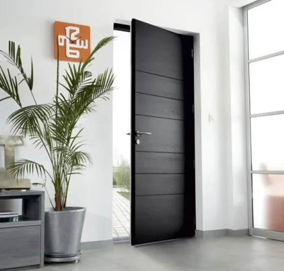 Illustration de la gamme Portes d'entrée